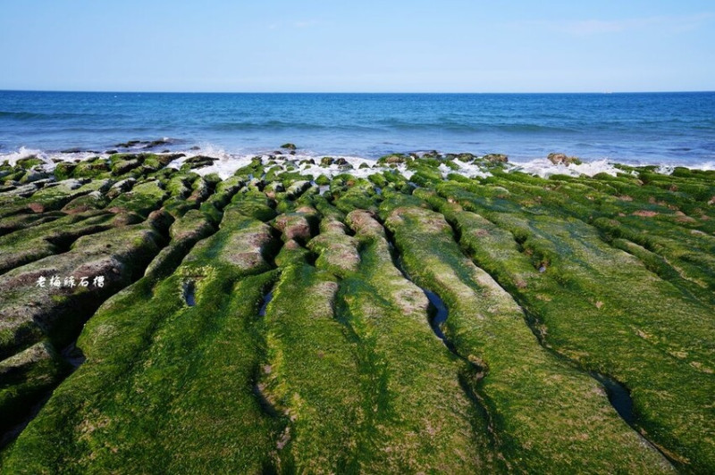 新北石門老梅綠石槽 ❙ 北海岸一日遊、季節限定抹茶綠地毯 交通資訊、潮汐表!