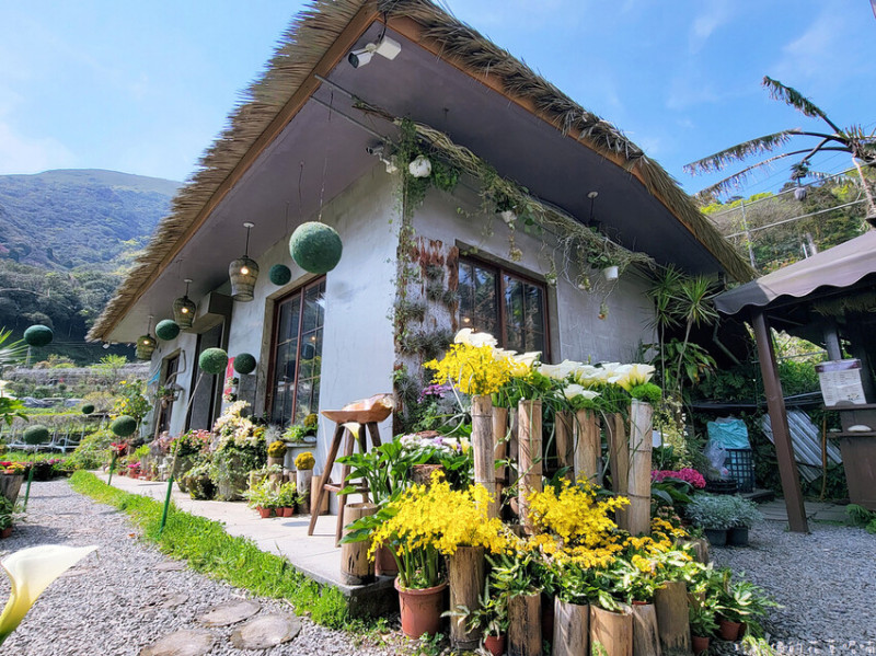 【台北市北投區】2023竹子湖海芋季3/14（二）-4/23（日）｜曹家花田香主題造景「漂浮星球」