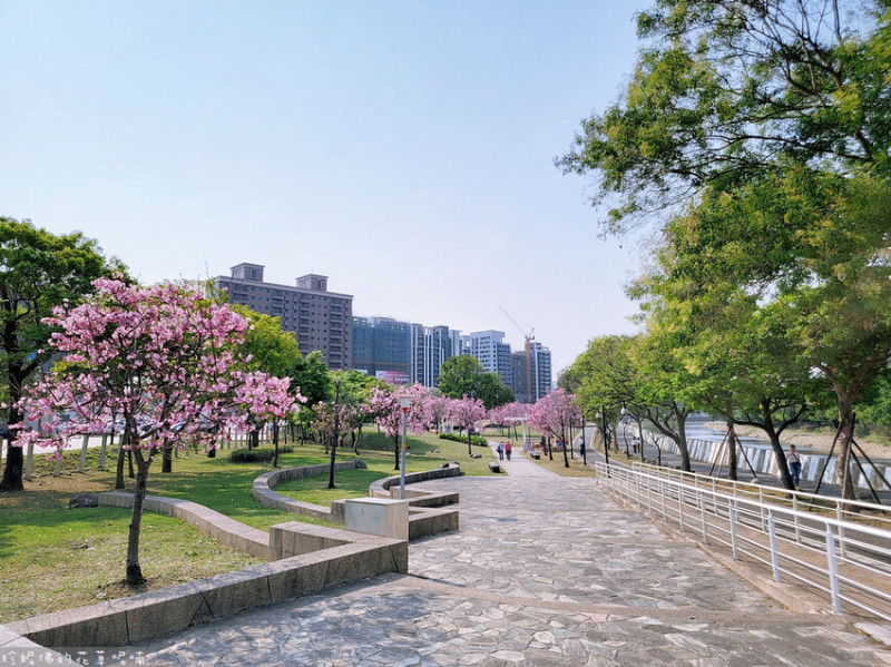 【桃園市桃園區】三民運動公園&檜溪（會稽）河濱公園賞花｜騎單車、散步、打籃球、親子休閒、溜冰｜有收費停車場