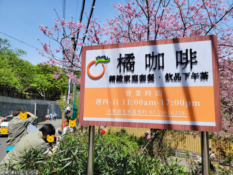 【台北市士林區】2023陽明山平菁街橘咖啡＆內厝溪櫻木花廊賞櫻