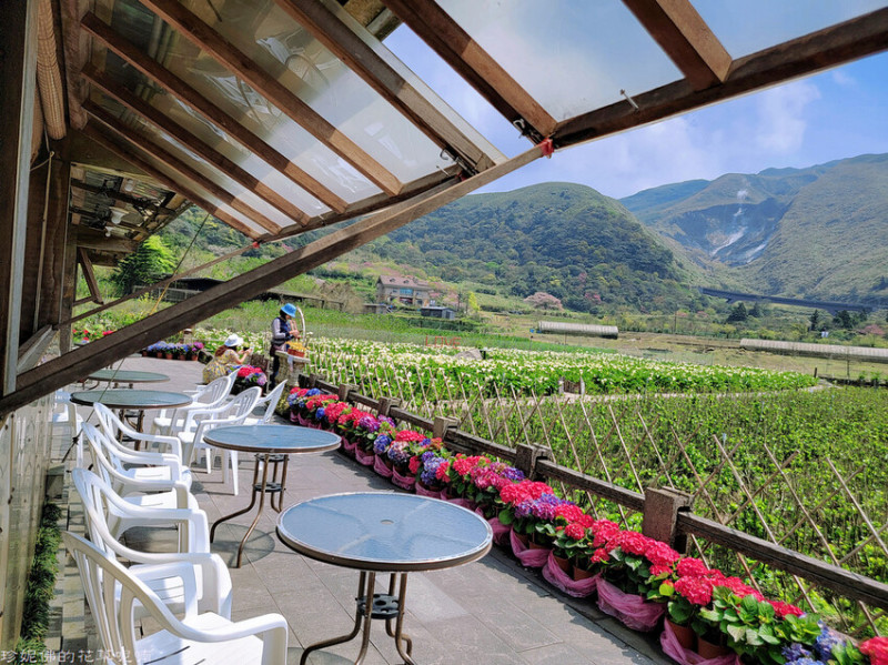 【台北市北投區】2023竹子湖海芋季3/14（二）-4/23（日）｜財福海芋田｜頂湖賞海芋