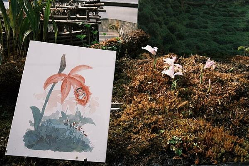 臺大山地實驗農場.梅峰農場『2023春之饗宴-臺灣一葉蘭與山野草特展』