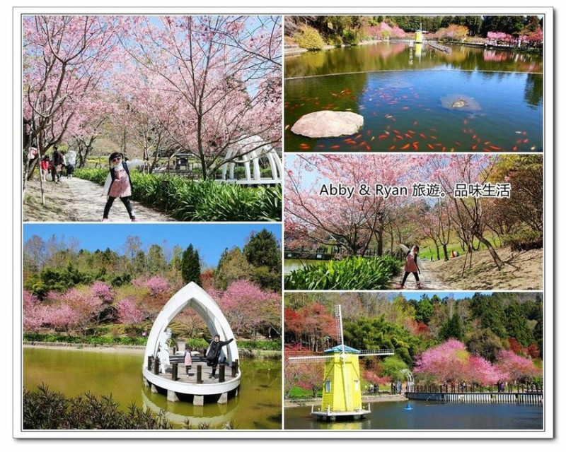 【南投景點】清境小瑞士花園櫻花季~OPEN醬/歐式花園超好拍！