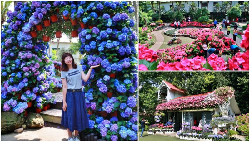 2023花露農場繡球花季｜苗栗景點推薦花露農場花季一日遊，森林花園秘境、全台唯一精油城堡，近苗栗鯉魚潭水