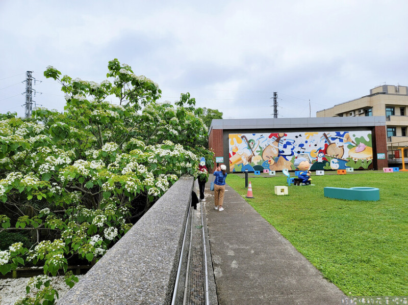 【桃園市龍潭區】2023桃園客家桐花祭｜桃園市客家文化館賞桐