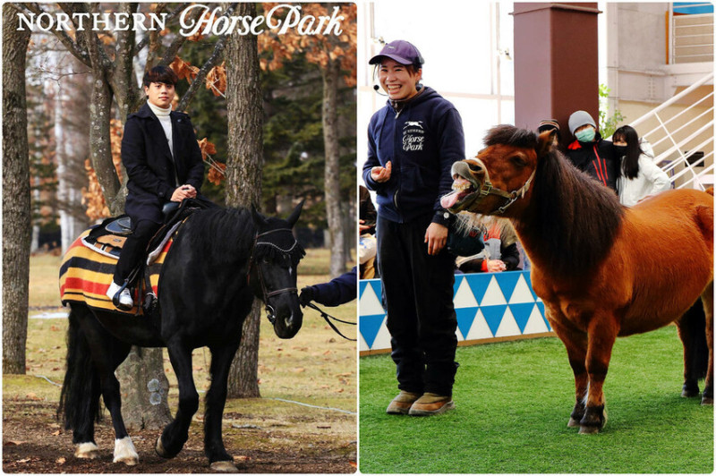 【北海道】北國優駿公園，與馬兒親密互動的北海道主題公園