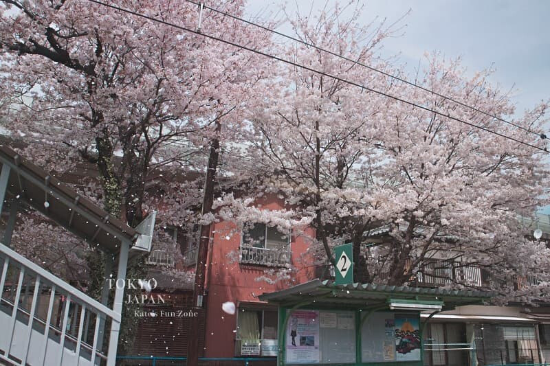 【自助懶人包】怎麼規劃日本旅行？預算、行程、機票攻略：手把手教學！