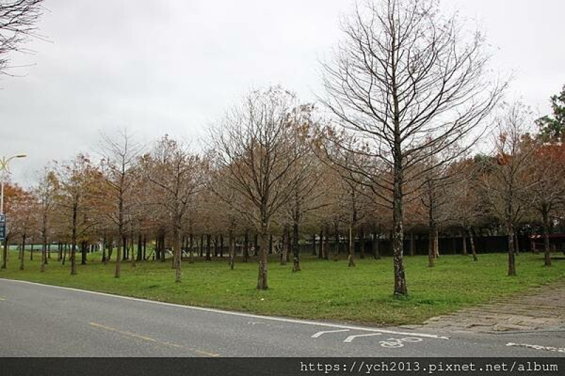 花蓮市福國里／紀念1878加禮宛戰役與達固部灣戰役紀念園區／聽聽撒奇萊雅族的故事