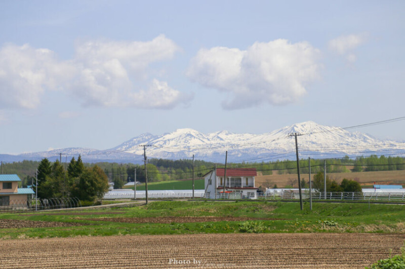 【北海道美瑛】白金青池自駕遊，蘋果桌布背景原來在這！休息站、停車場、交通、美食。