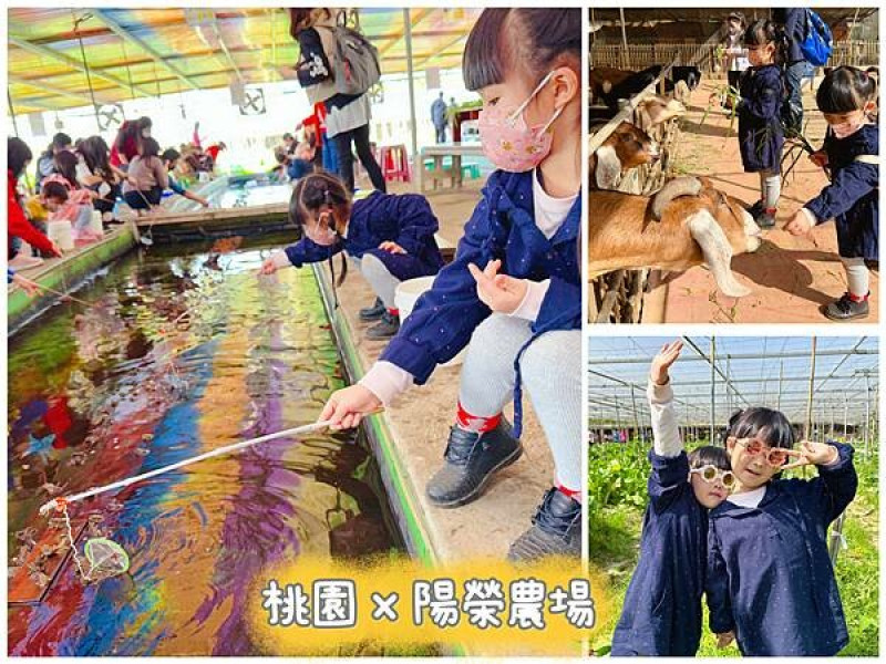 ★桃園親子景點★陽榮生態農場，餵動物釣魚蝦撈青蛙體驗小農夫生活，門票$100可全額折抵農場消費