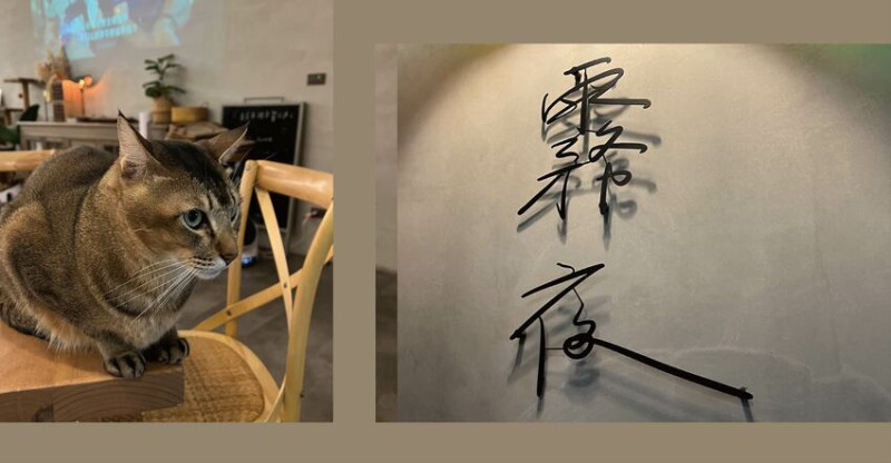 【寵物友善餐廳推薦】 與毛孩子一起品嚐美食的好去處! 桃園霧夜Nafu cafe