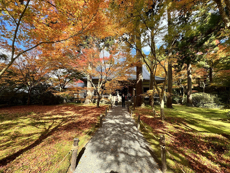 【亞洲，日本，京都】感受京都幽靜之美：四季美景的「三千院」。午餐吃「Shino Shoumon 志野松門」湯豆腐。