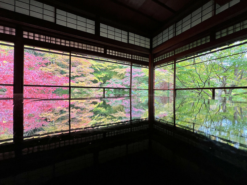 【亞洲，日本，京都】八瀨大原瑠璃光院，一年只開放兩季的絕美京都賞楓點。（京都賞楓，京都旅遊）