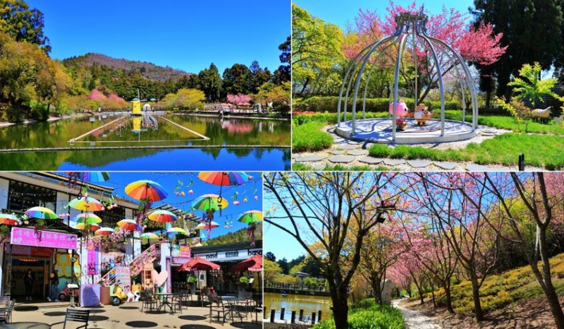 清境農場小瑞士花園‧著名的水上教堂、落羽松步道及綠光森林花園，晚上還有燈光秀 - 敦 小 蓮の食旅錄