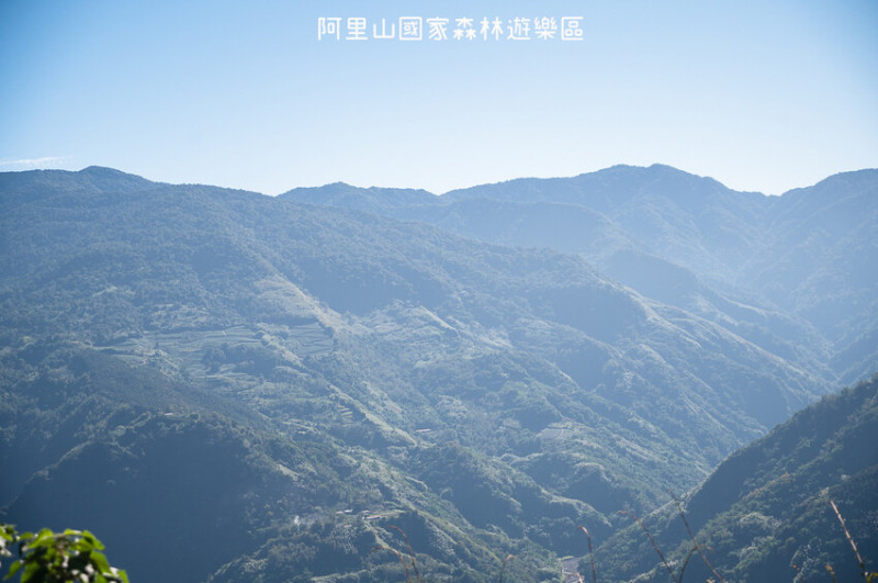 ｜嘉義景點｜阿里山國家森林遊樂區，櫻花、楓葉、神木、雲海和日出，一年四季總能欣賞到不同的風景 - 婷兒旅行地圖