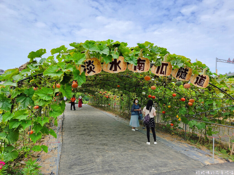 【新北市淡水區】2023淡水南瓜隧道｜開放至5月底 08:00-18:00 ｜路邊停車