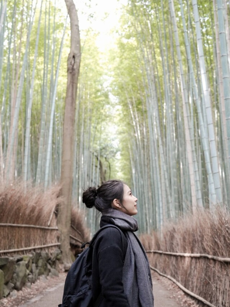 京都｜朝聖竹林之道一日遊！嵐山美食/景點/交通全紀錄