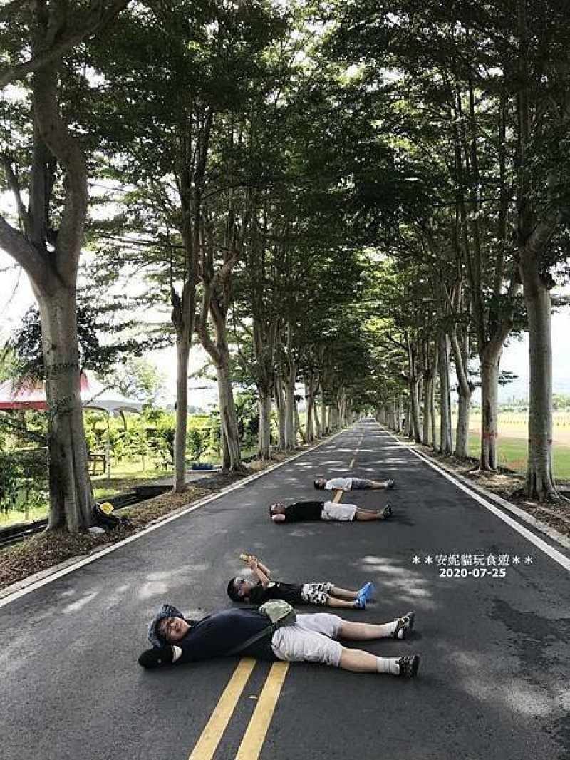 【2020花東周遊記。台東】鹿野龍田社區散策 & 台東2626市集