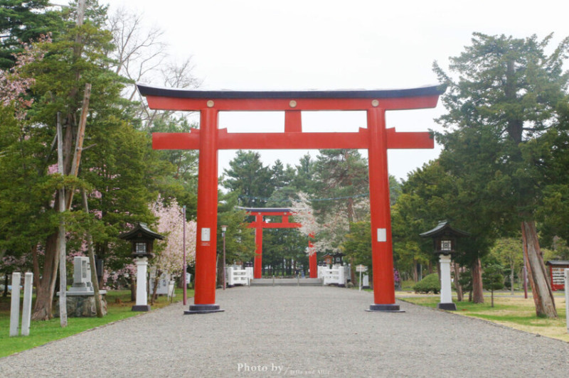 【北海道旭川景點】北海道護國神社，日式庭院池塘，多種原生花草與樹木。
