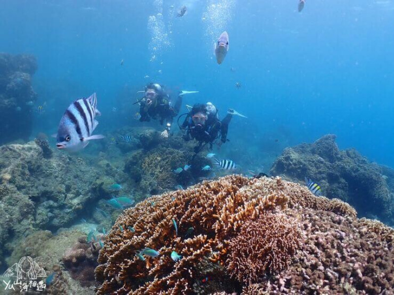 【墾丁心海潛水中心】PADI OW水肺潛水證照，探索迷人海底世界