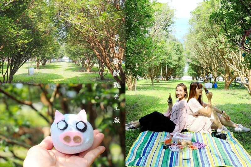 【南投景點】♥果寶歡酵觀光工廠♥亞洲第一大網室有機嘉寶果農場-樹葡萄果醬製作/樹葡萄園野餐/草頭娃娃DIY