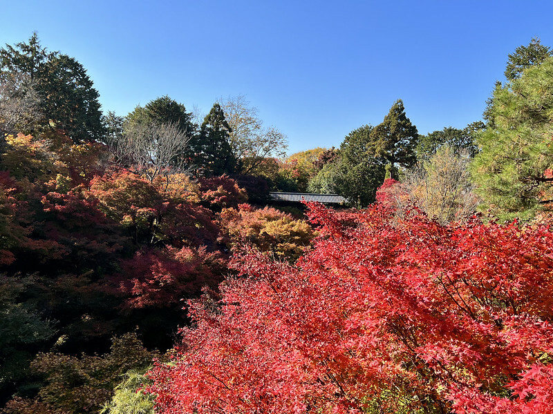 【亞洲，日本，京都】東福寺，關西最有名的賞楓名所，京都第一賞楓景點。（京都旅遊，京都景點）