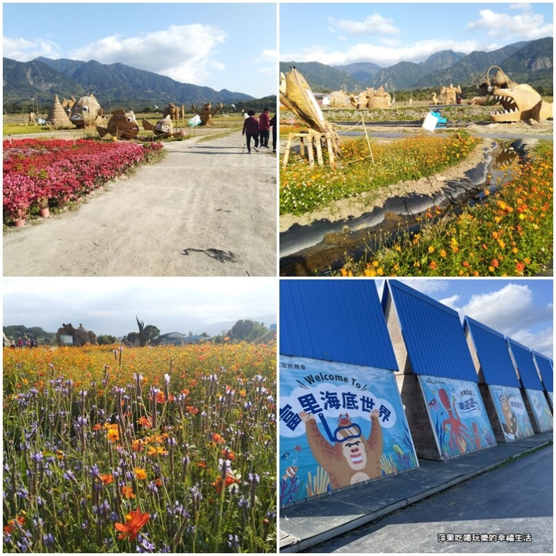 【花蓮。富里鄉】富里鄉農會，海底世界稻草藝術裝置，還有超大猩猩!