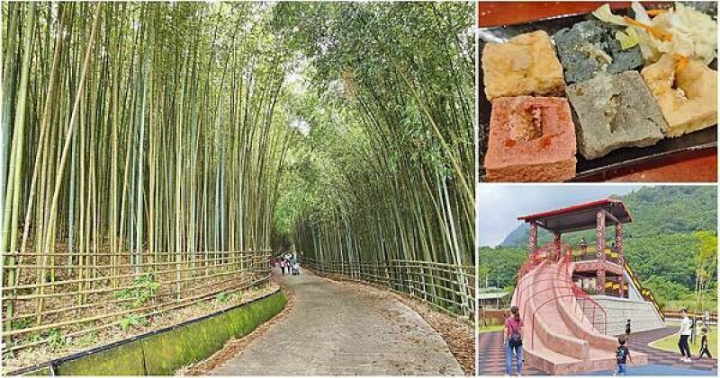 【泰安一日遊】親子必玩三大景點，洗水坑豆腐街絕妙臭豆腐與桂竹筍、泰安竹林秘境、泰雅原住民文化產業園區