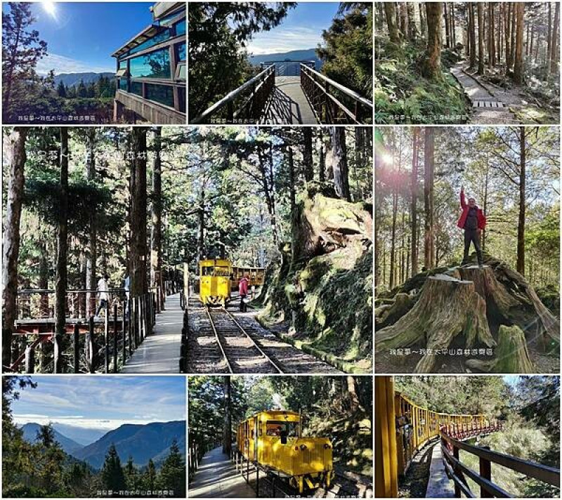 『宜蘭。太平山森林遊樂區』～蹦蹦車／雲海咖啡館／森林浴