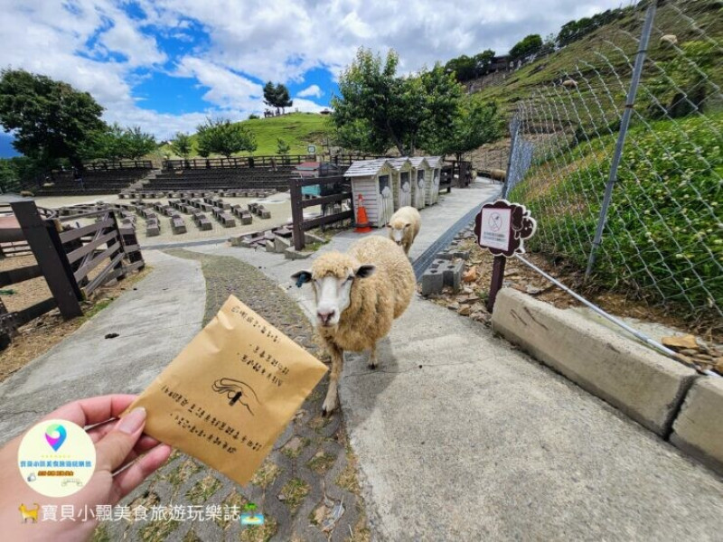 [旅遊]南投 藍天白雲綠草地 愜意賞景郊遊趣 來清境農場與羊咩咩度過愉快的假期吧！