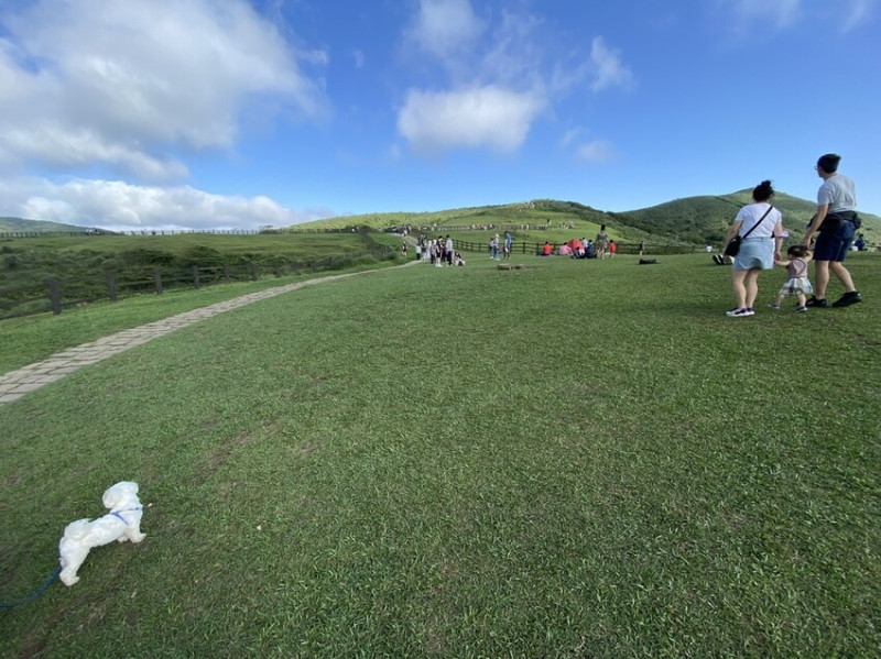 【台北士林－冷水坑】走訪冷水坑『冷擎步道』通往擎天崗大草原／寵物友善景點