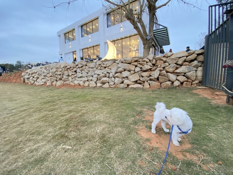 【台中沙鹿－鹿雅森林】台中景觀餐廳｜有寵物餐、夜景、大草皮的寵物友善餐廳