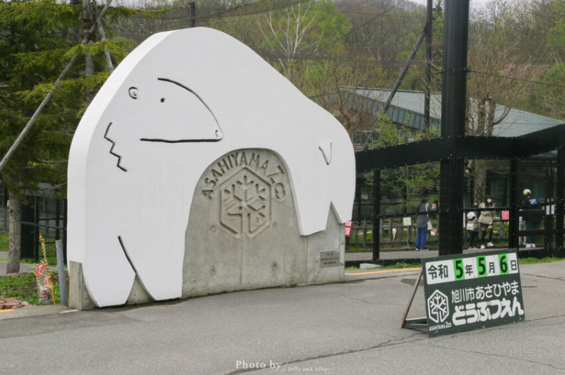 【北海道旭川】旭山動物園一日遊，門票、交通、餵食秀，尋找企鵝、北極熊、海豹吧！