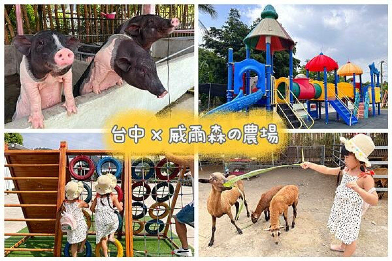 ★台中親子景點★ 威爾森的農場，假日限定開放門票銅板價玩一整天，餵動物/挖沙坑/玩遊具，周末一日遊就來這