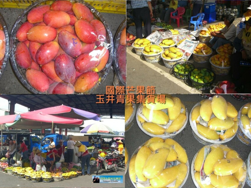 【台南。玉井】「國際芒果節」玉井「青果集貨場」買芒果吃芒果冰必遊景點∣