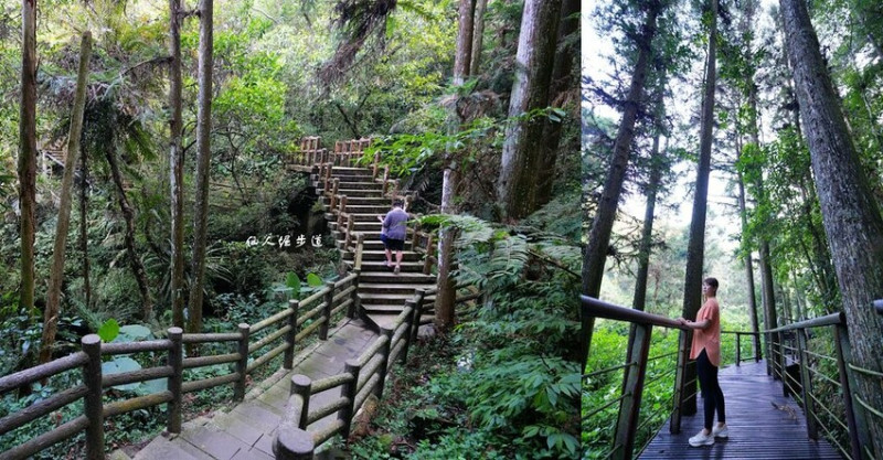 仙人崛步道 ❙ 梅山超親民森林步道，宛如武俠片拍片場景，適合親子共遊!