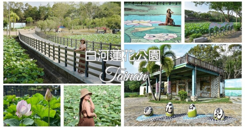 台南白河區｜蓮花公園 季節限定壯觀蓮花池 初夏賞蓮花最佳地點 適合親子共遊休憩好去處 附設免費停車場