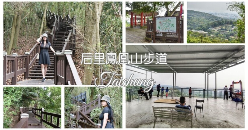 台中后里區｜鳳凰山步道 迷你龍貓隧道 適合親子健行親民步道 還可串聯觀音山步道O型路線 登頂視野好遼闊 附設免費停車場