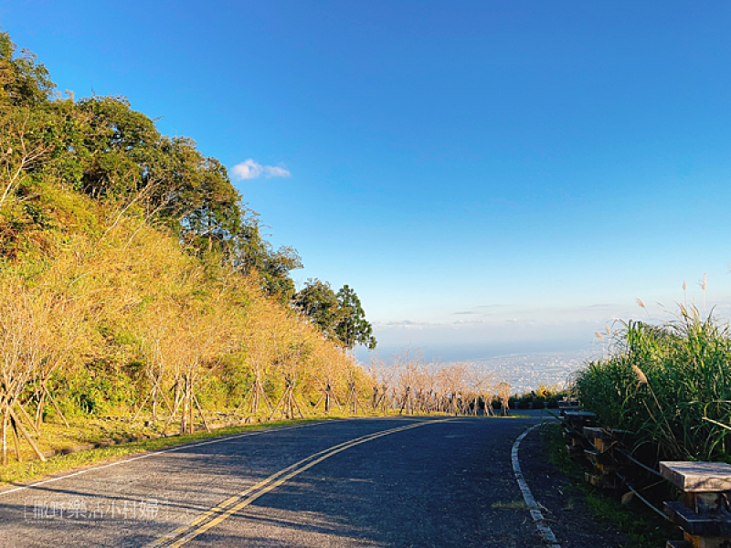 《宜蘭礁溪》櫻花陵園生命美學館。俯瞰蘭陽平原風光，穿梭於幾何流線型時光隧道