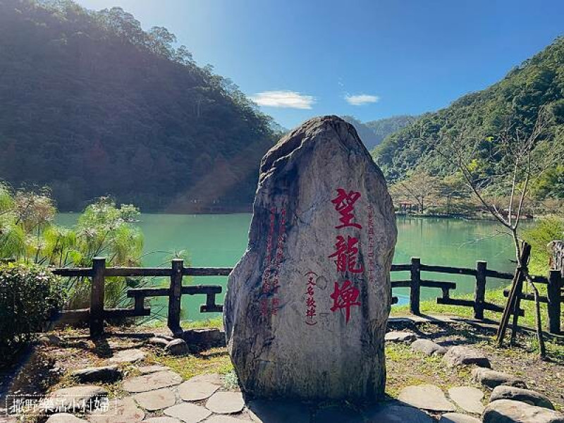 《宜蘭。望龍埤》花田村湖畔咖啡廳｜碧綠湖邊賞落羽松，看水鴨漫遊｜擁抱得天獨厚的美景