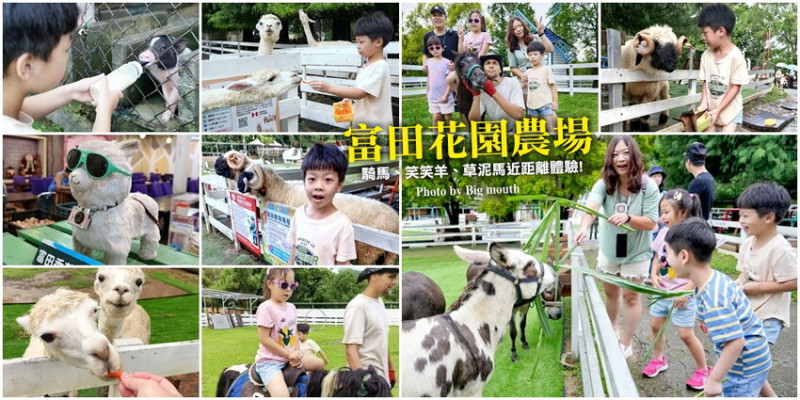 桃園大溪富田農場．草泥馬、笑笑羊、騎馬體驗超好玩!