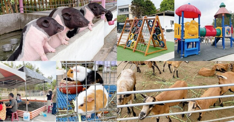 威爾森的農場，台中親子景點50元門票有可愛動物區餵小羊小豬 遊戲區 溜滑梯 沙坑 - Cyndi love’s 享食天堂