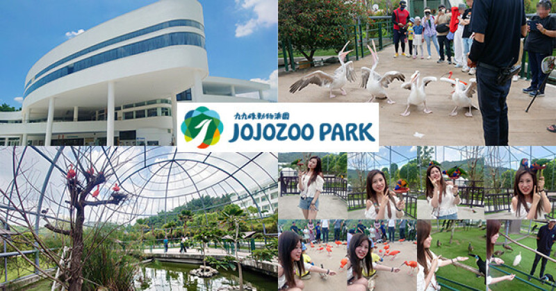 【南投景點】JOJOZOO PARK九九峰動物樂園，這個動物園太美了，有鳥類飛禽及可愛動物可以體驗互動餵食趣，還有數個巨大鳥籠有如走進侏儸紀世界!!!。南投親子旅遊景點