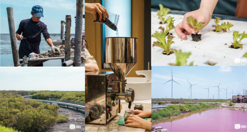 彰濱一日特色遊程｜全台唯一海牛採蚵體驗、漫步海空步道、番挖水耕農場、漢寶園休閒農場、油籽學堂