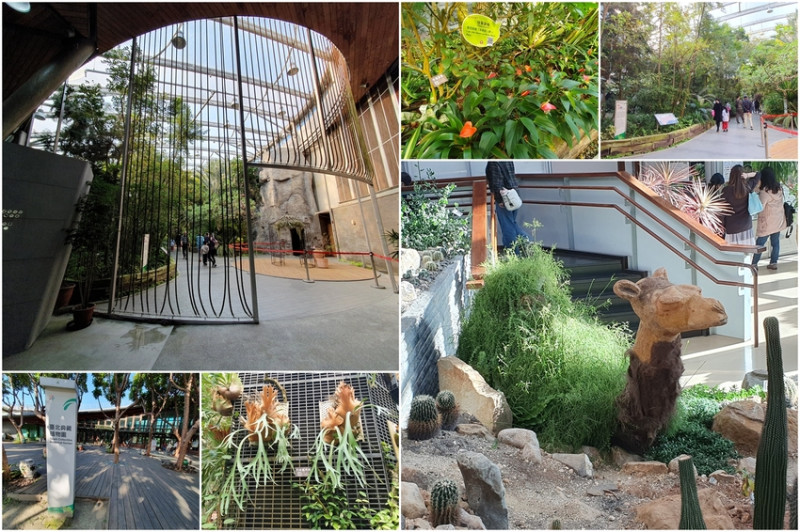 【台北景點】台北典藏植物園-花博公園新生園區室內免門票親子景點