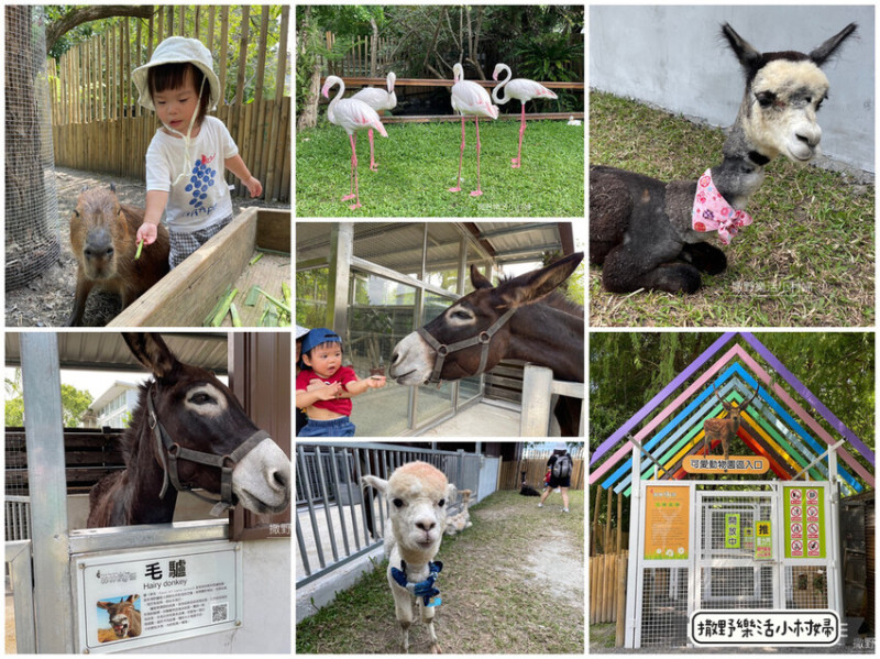 宜蘭》最新景點【水岸森林休閒農場_森林物語】超萌系可愛動物陪你玩到嗨，還有漂亮生態池，憑門票可以到湖畔餐廳兌換飲料，有大面落地窗欣賞美景還能順便打卡換飼料餵魚