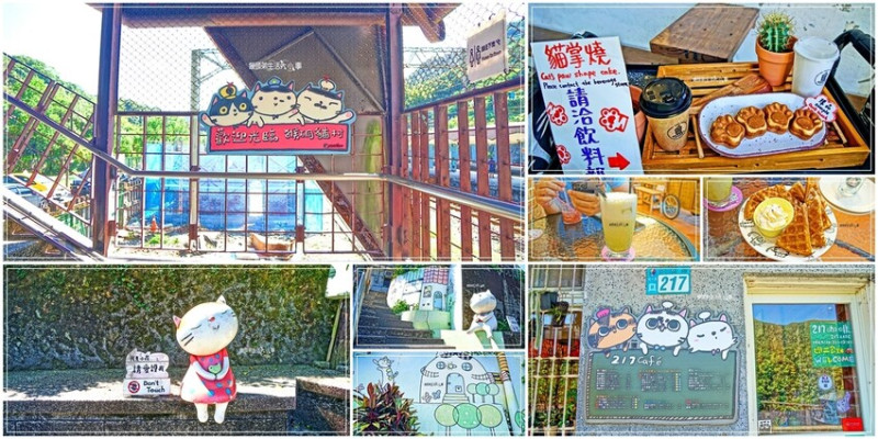 猴硐貓村旅遊推薦，跟親子一起來台灣最療癒的貓咪世界
