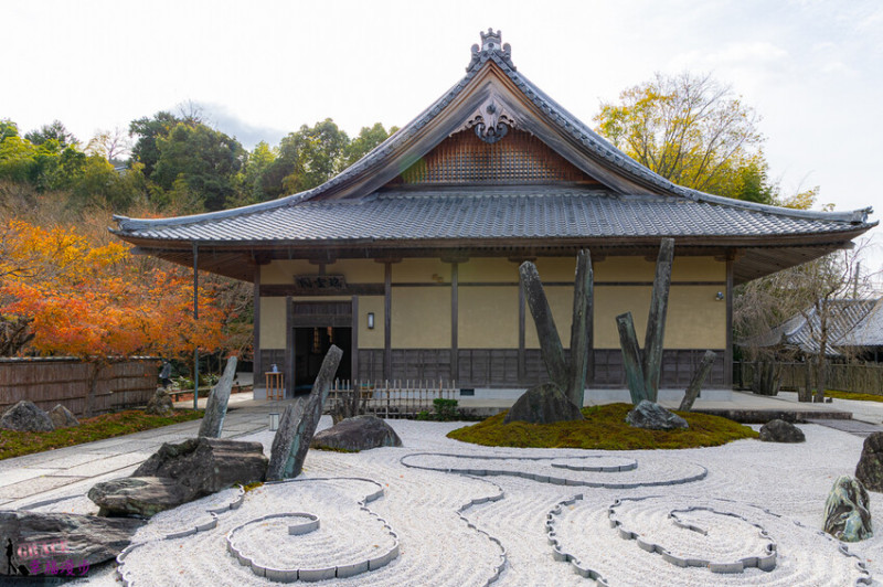 圓光寺｜京都府日本–欣賞奔龍石庭的枯山水景色和十牛之庭的楓葉美景，庭園中的小地藏好可愛