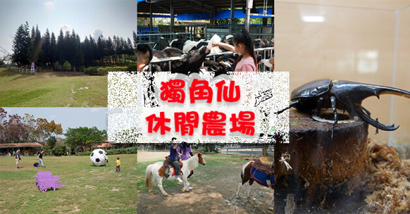 【嘉義景點】獨角仙休閒農場(寵物友善景點)，擁有廣大草原可以讓小朋友消耗電力，可以餵食動物，釣螯蝦、餵鴿子、坐小火車以及小朋友最愛的溜滑梯跟沙坑。嘉義親子旅遊