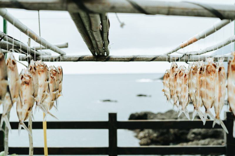 一年只有三個季節的蘭嶼：夏季、冬季、飛魚季。